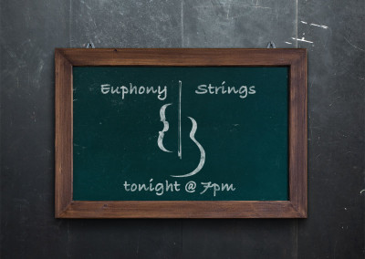 Euphony Strings Music Group Logo and Brand Identity